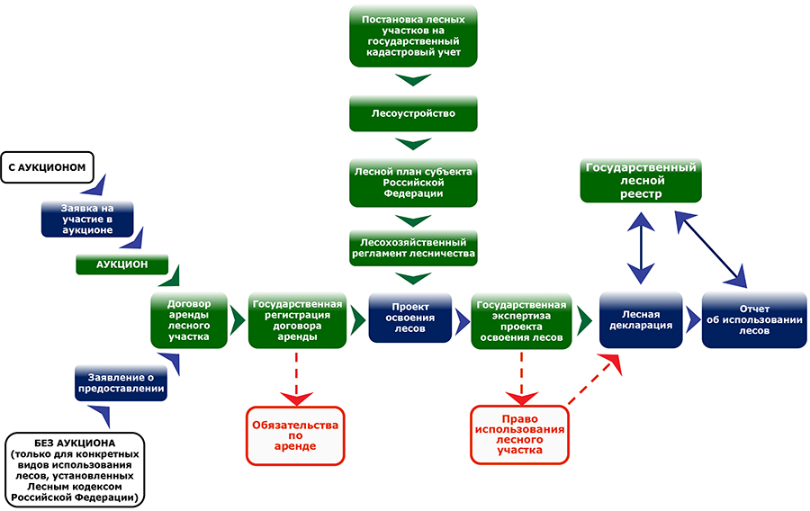 Схема предоставления лесного участка по договору аренды